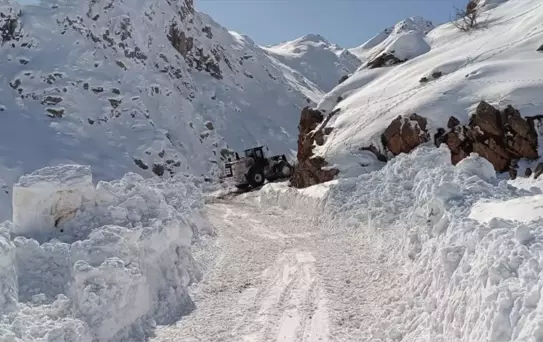 Yüksekova'da Mezra Yolu Açıldı