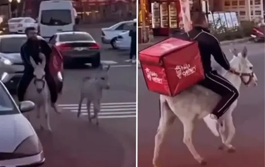 İzmirli kuryeden trafikte akılalmaz hamle, ehliyeti elden gidince eşeği kullandı
