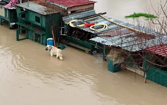 İzmir'de Şiddetli Yağışa Müdahale