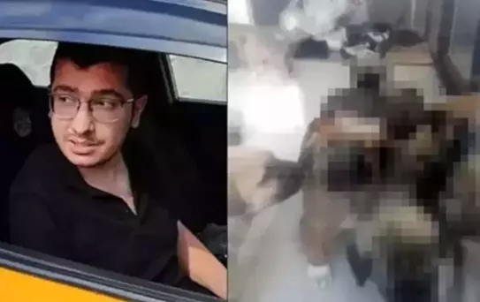 Köpeklere yaptıkları kan dondurmuştu! Sapık doktorun cezası düşürüldü