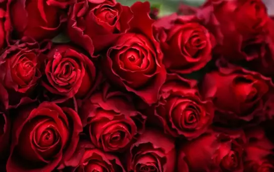 Yıllar önceki olay yeniden gündemde! Dünyaca ünlü isim Sevgililer Günü'nde 3 farklı kadına çiçek yollamıştı