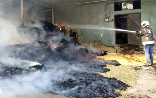 Kartepe'de Yangın: 70 Balyaya Zarar