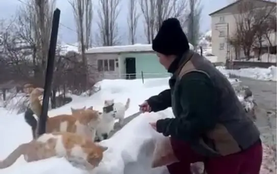 Selin İlhan'ın Sokak Hayvanlarına Duyduğu Sevgi