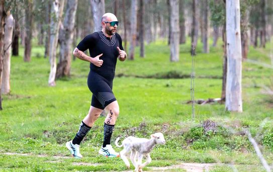 Parkura atlayan kuzu yarışmaya renk kattı: İnsanın vegan olası geliyor