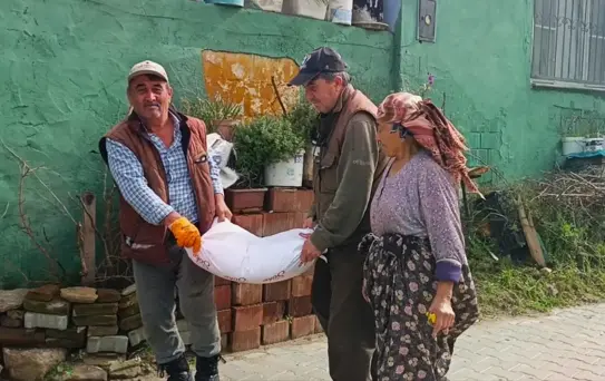 Aydın'da İlk Leylek Görüldü