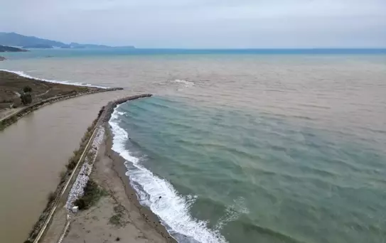 Mersin'de Akdeniz Kahverengiye Büründü