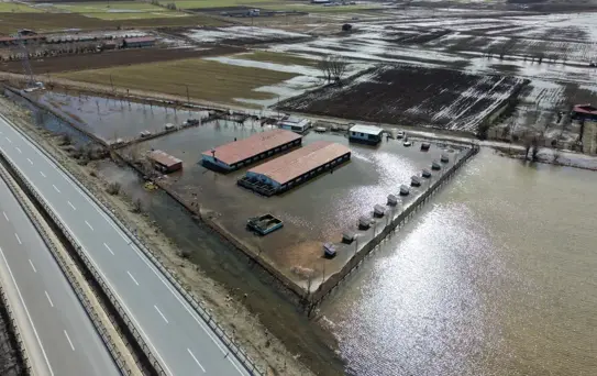 Sivas'taki Kangal Çiftliği Su Bastı