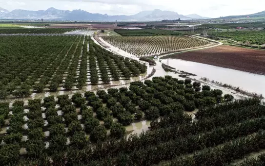 Adana'da Tarım Arazileri Su Altında