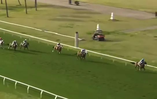 Bir at yarışı spikerinin, ''Mister Mmmmm'' adlı yarış atını anlattığı anlar viral oldu