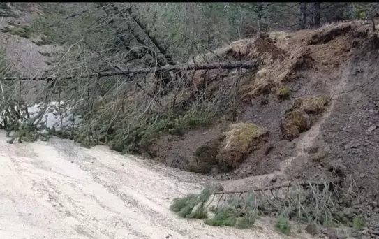 Akdağ'da Heyelan: Ağaçlar Devrildi