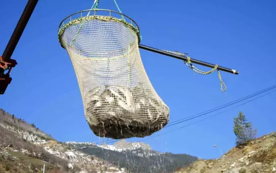 Gümüşhane'de Alabalık Üretimi Artıyor