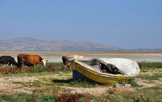 3 ilçeyi besleyen göl yeniden su tutmaya başladı! Her yerden su fışkırıyor