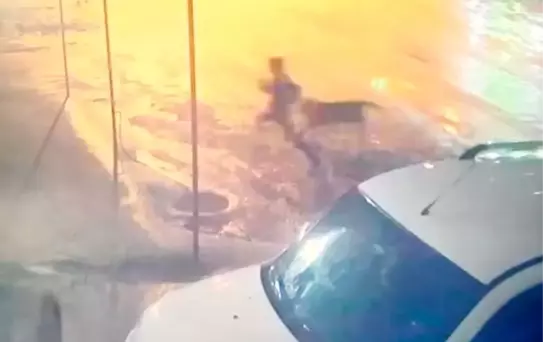 Adıyaman'da Çocuk Köpek Saldırısına Uğradı