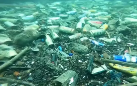 Denizden çıkardı, 3 bin dolara sattı