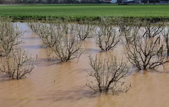 Turgutlu'da Taşkın Felaketi