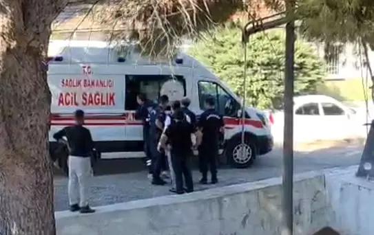 Milas'ta Tefecilik Operasyonu: 4 Tutuklama