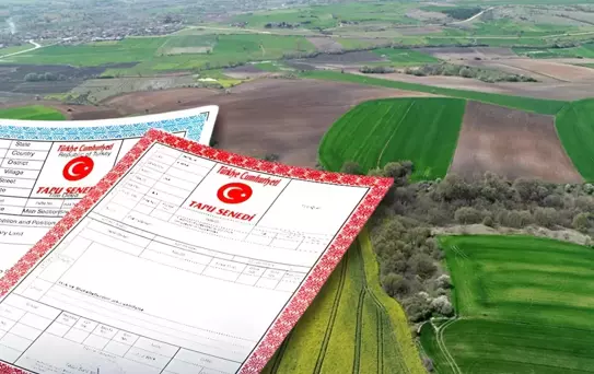 Ortak tapuda satış yapanlar dikkat! Yargıtay'dan kritik karar çıktı