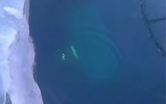 Tur aracı buzun altına düştü! Feci şekilde can verdiler