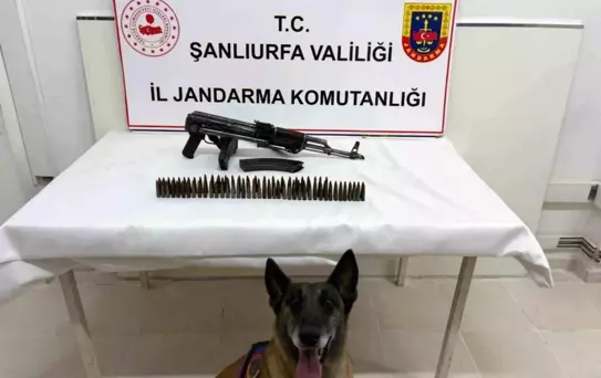 Suruç'ta Silah Operasyonu: 1 Gözaltı