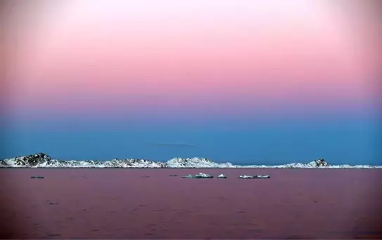 Grönland, Trump'ın Hastane Gemisi Teklifine Ret Cevabı Verdi