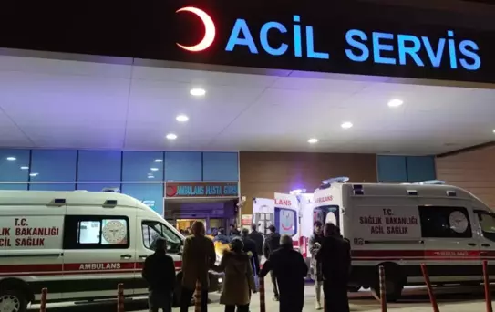 'İstanbul'da kuduz vakalarında patlama' iddialarına valilikten yanıt