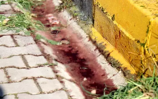 Sakarya'da Çifti Facia Sonuçlandı