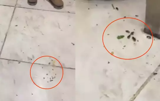 Her gün yüzlerce kişinin gittiği restoranda mide bulandıran görüntüler