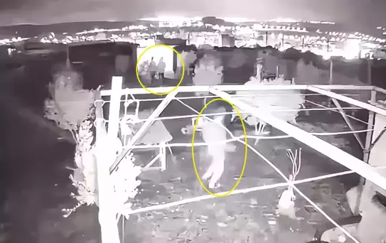 Hobi bahçesine giren 3 çocuk, 25 güvercini çalıp kaçtı