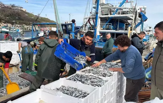 6 saatte 30 ton birden avladı, koca bir servetin sahibi oldu