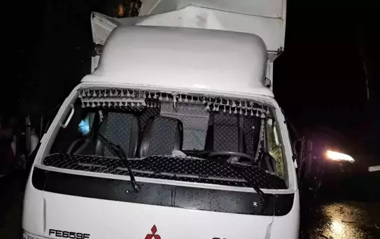 Sarıyer'de Kamyonet Ağaca Çarptı