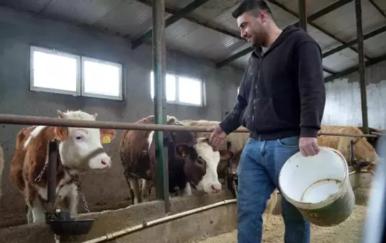 Bayburt'ta Hayvancılığa Yem Desteği