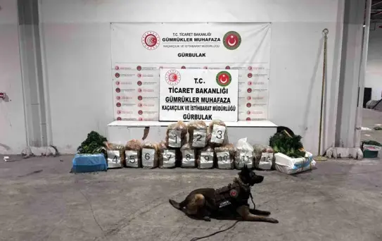 Gürbulak'ta Esrar Yakalandı