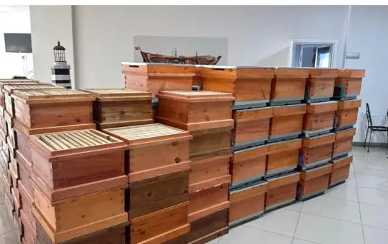 Arıcılık kursiyerlerine kovan desteği