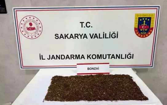 Sakarya'da Uyuşturucu Operasyonu: 1 Tutuklama