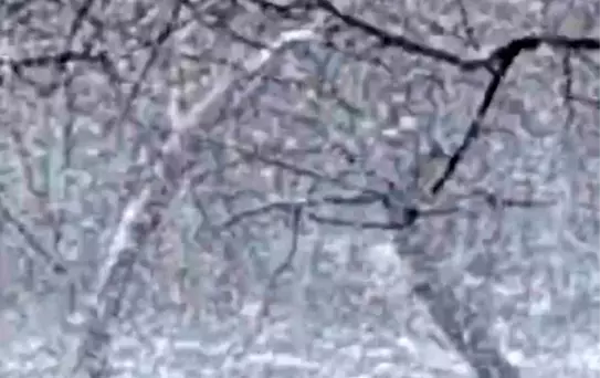 Mudurnu'da Yoğun Kar Yağışı