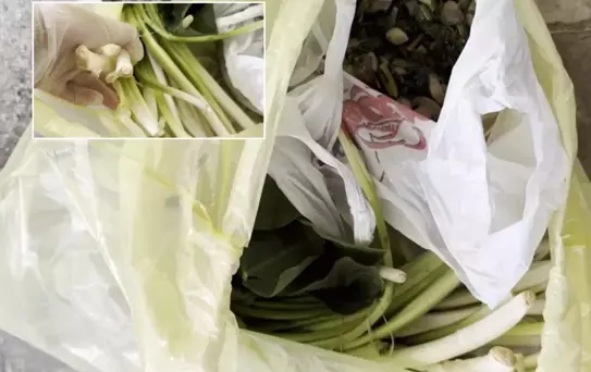 Pazardan aldı, zehir çıktı! Ağzına bir lokma alan doktor fenalaştı