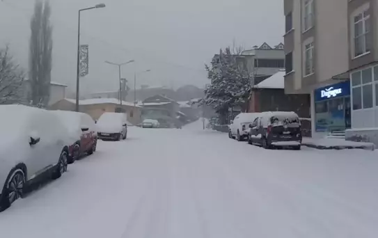 Posof'ta Ilgar Geçidi Ulaşıma Kapandı