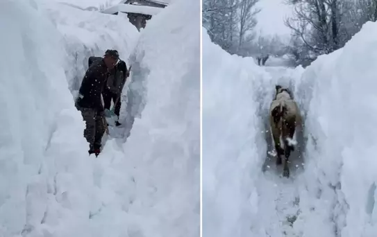 Tunceli'de kar kalınlığı insan boyunu aştı