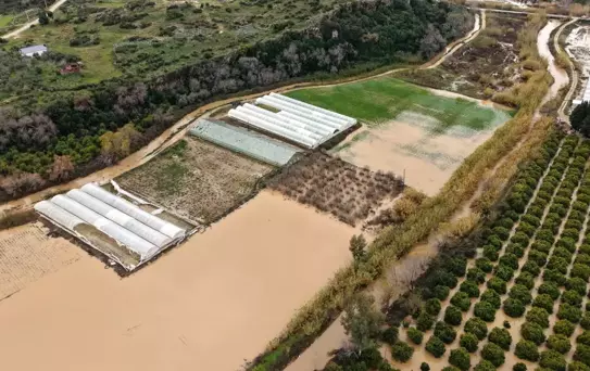 Antalya'da Tarım Felaketi: Zarar 3 Milyar TL'yi Bulabilir