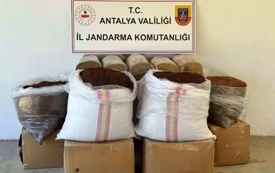Gazipaşa'da 500 kg Kaçak Tütün Ele Geçirildi