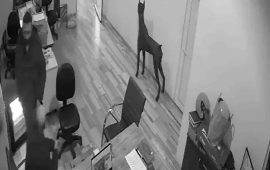 Bursa'da Kolanya Şakası Faciası