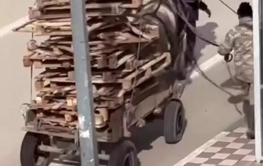 Karacabey'de Atın Aşırı Yükü Tepki Topladı