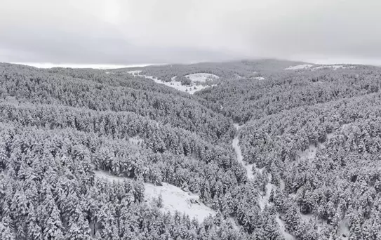 Dumanlı Tabiat Parkı Kış Güzellikleriyle Büyülüyor