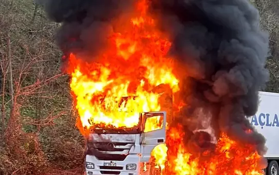 Rize'de Tır Alev Alev Yandı