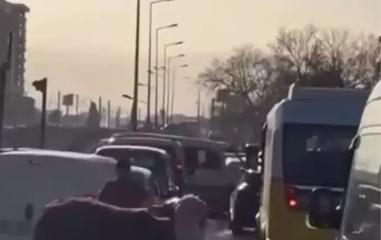 Boğa Trafiği Altüst Etti