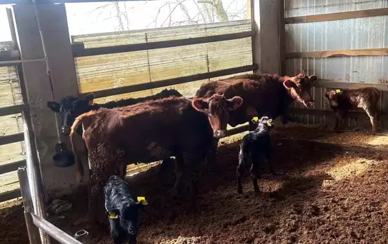 Kırsalda Bereket Projesi'nde Gelişmeler