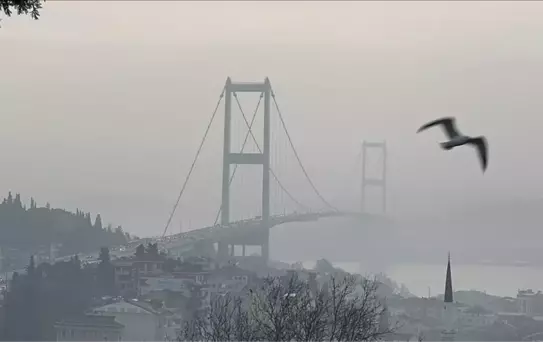 İstanbul'da bazı vapur seferleri sis nedeniye iptal edildi
