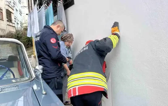 Ordu'da bodrum kattaki kedi sesi ekipleri harekete geçirdi