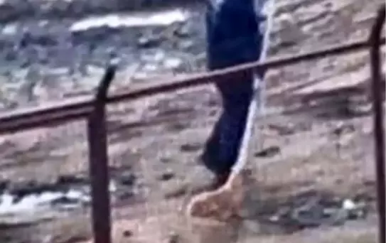 Sakarya Valiliğinden iki ilçedeki barınak görüntülerine ilişkin açıklama