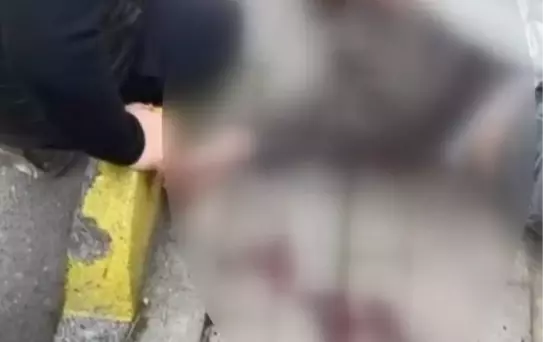 Okul önünde dehşet! Başından vurup kaçtı